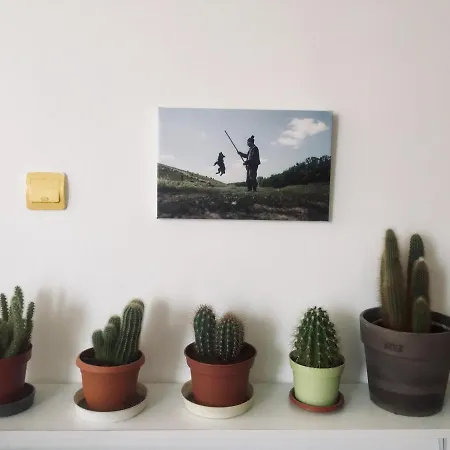 Vine 21 Co-living